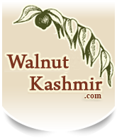 Walnut Kashmir