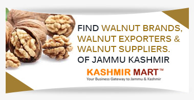 Kashmiri Walnut
